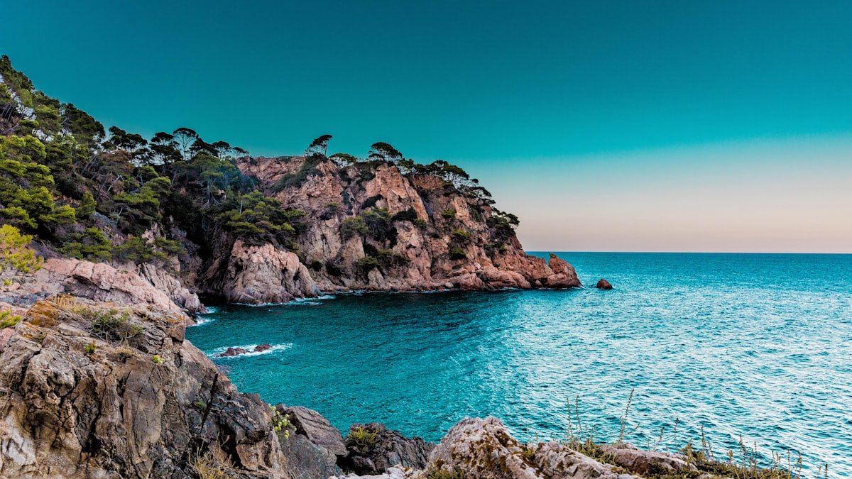 Javea